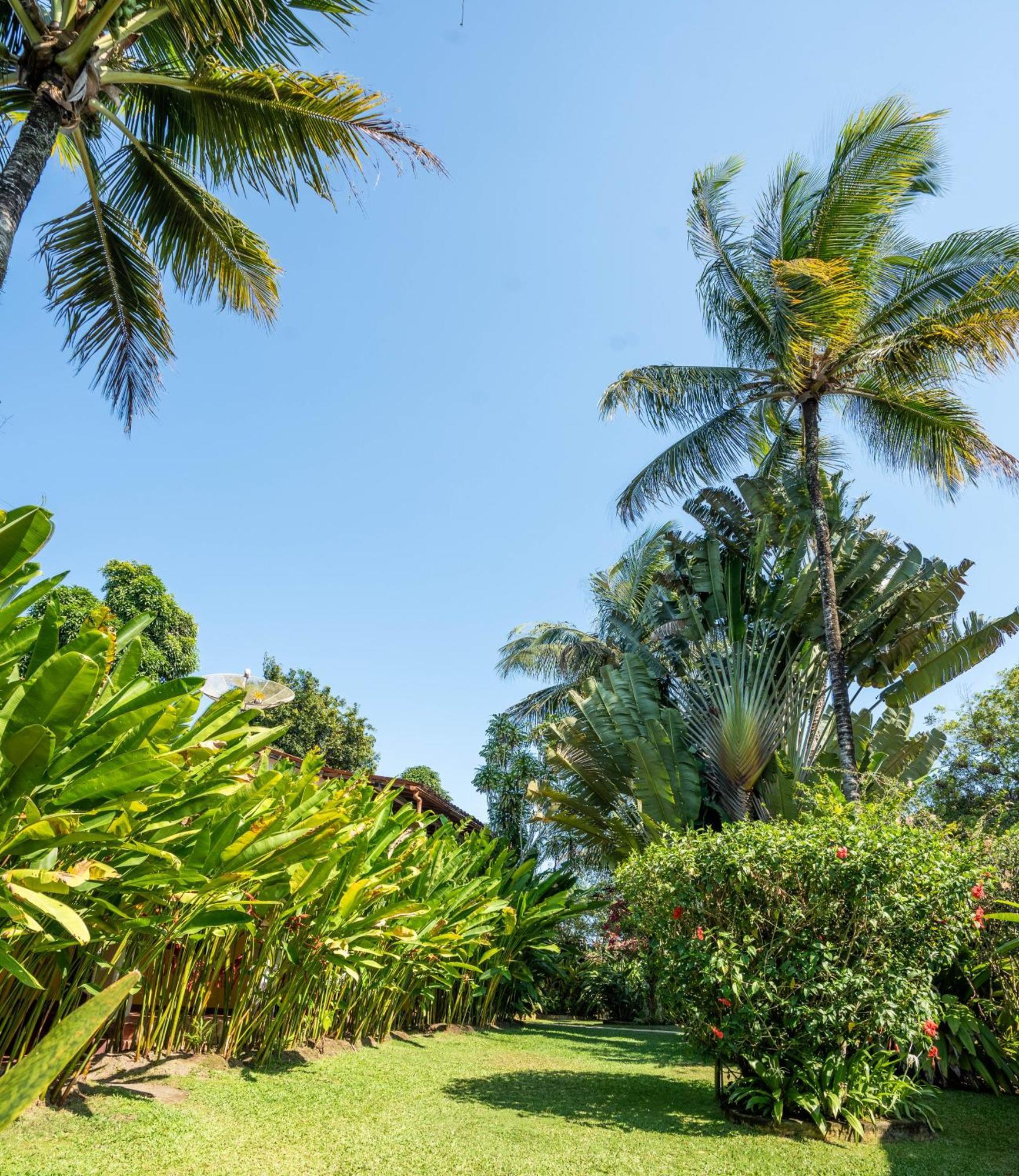 Pousada Jardim Das Margaridas Trancoso Exteriör bild