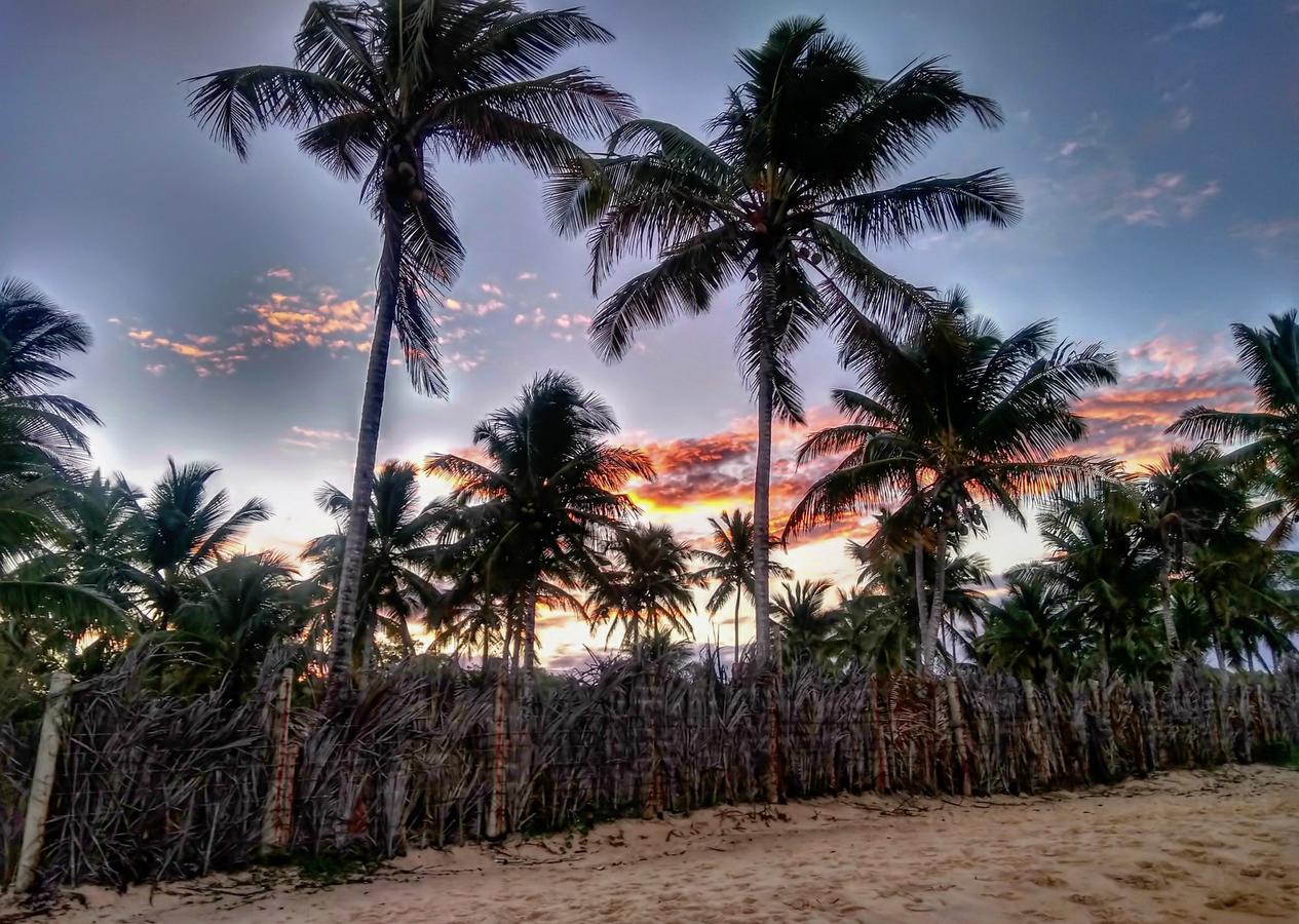 Pousada Jardim Das Margaridas Trancoso Exteriör bild